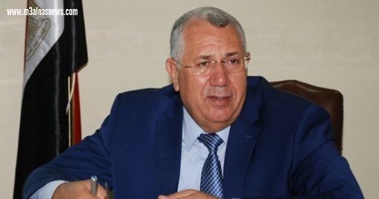 الوزراء : لاصحة لانتشار البطيخ المسرطن